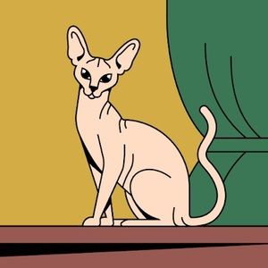 Meet your Posher, Paula